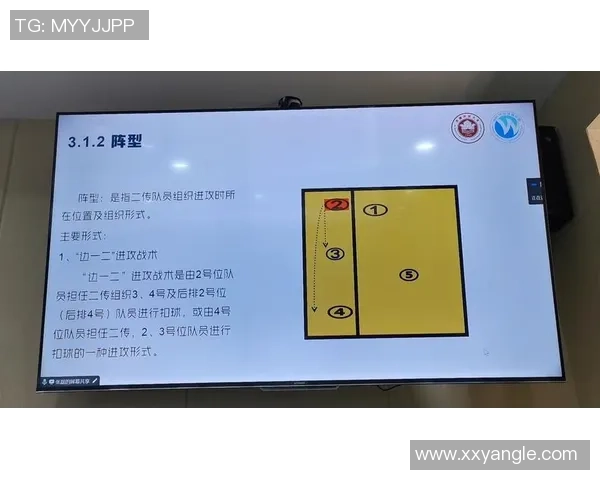 南京排球队进攻战术深度解析与实战应用探讨