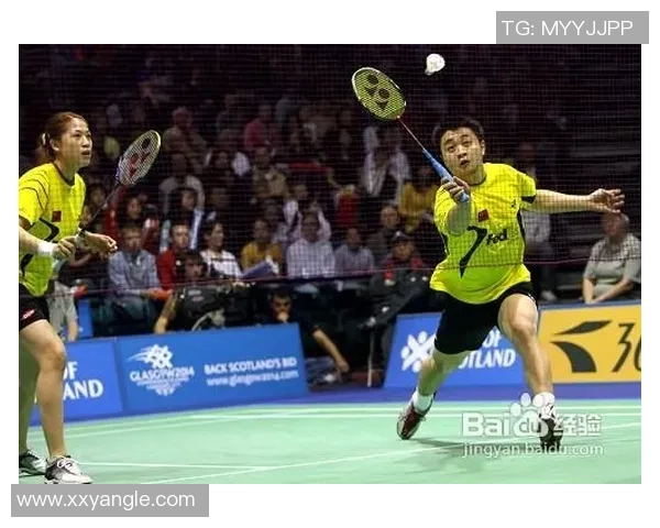 西安羽毛球队区域防守策略解析与实战应用探讨 西安羽毛球队区域防守策略解析与实战应用探讨