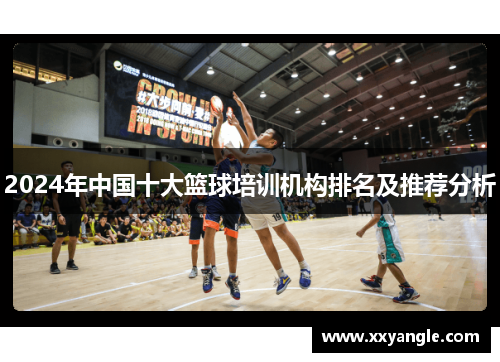 2024年中国十大篮球培训机构排名及推荐分析