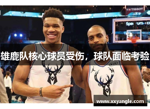 雄鹿队核心球员受伤，球队面临考验