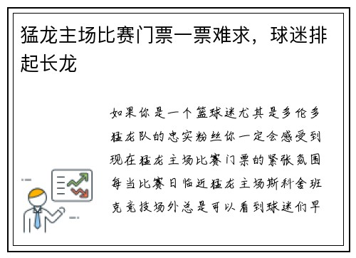 猛龙主场比赛门票一票难求，球迷排起长龙
